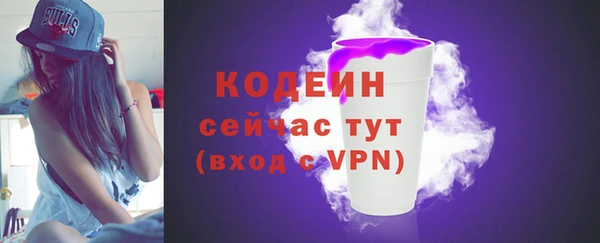 винт Вяземский