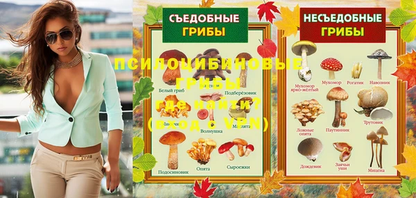винт Вяземский