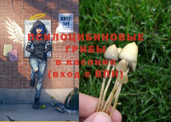 винт Вяземский