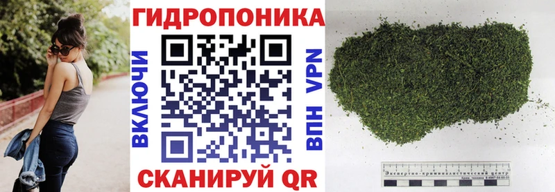 Канабис тримм  гидра рабочий сайт  Пласт  где купить наркоту 